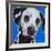 Blue Dalmation-R Berghaus-Framed Art Print