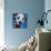 Blue Dalmation-R Berghaus-Mounted Art Print displayed on a wall