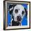 Blue Dalmation-R Berghaus-Framed Art Print