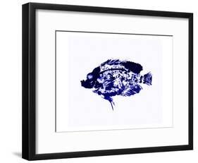 Blue Dapple Fish Print-Rich LaPenna-Framed Giclee Print