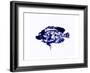 Blue Dapple Fish Print-Rich LaPenna-Framed Giclee Print