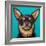 Blue Dark Chihuahua-Carolee Vitaletti-Framed Art Print