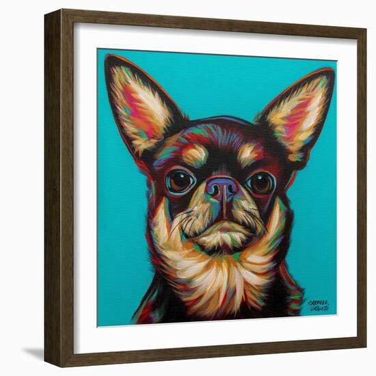 Blue Dark Chihuahua-Carolee Vitaletti-Framed Art Print