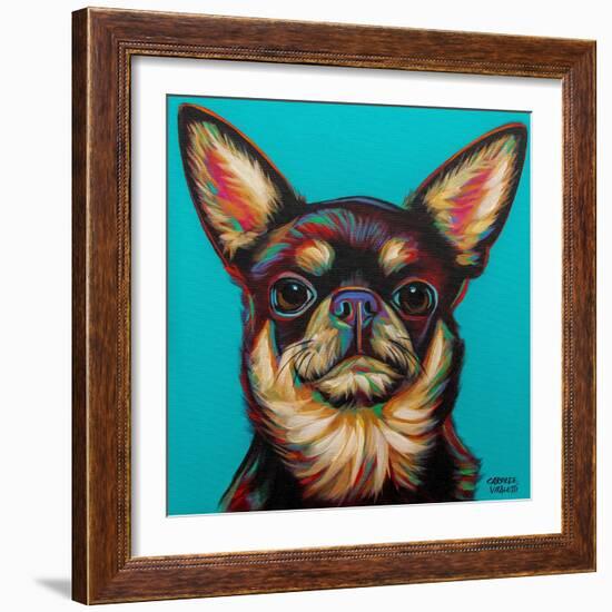 Blue Dark Chihuahua-Carolee Vitaletti-Framed Art Print