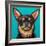 Blue Dark Chihuahua-Carolee Vitaletti-Framed Art Print