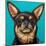 Blue Dark Chihuahua-Carolee Vitaletti-Mounted Art Print