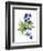 Blue Delphinium-Judy Stalus-Framed Premium Giclee Print