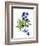 Blue Delphinium-Judy Stalus-Framed Art Print