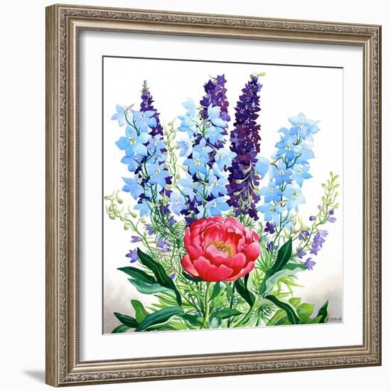 Blue Delphiniums-Christopher Ryland-Framed Giclee Print