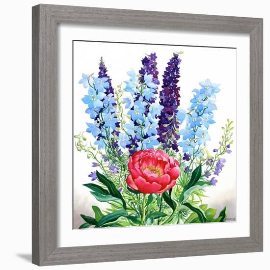 Blue Delphiniums-Christopher Ryland-Framed Giclee Print