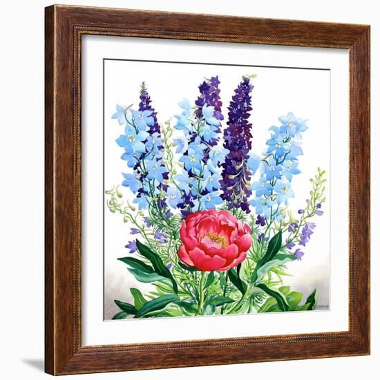 Blue Delphiniums-Christopher Ryland-Framed Giclee Print