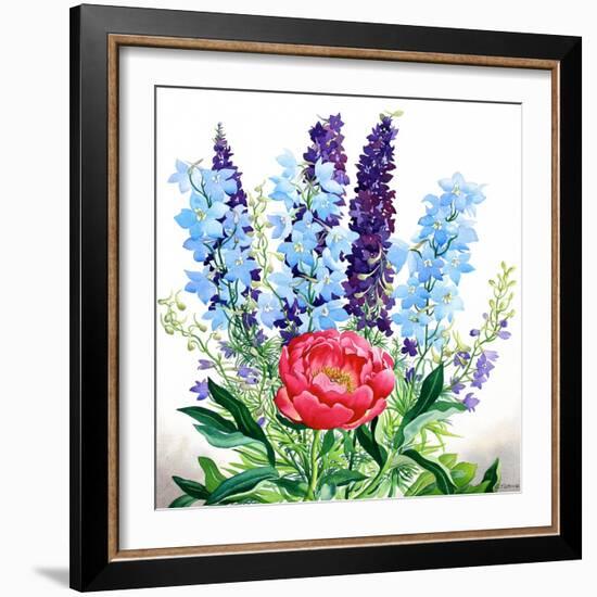 Blue Delphiniums-Christopher Ryland-Framed Giclee Print