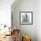 Blue Delphiniums-Christopher Ryland-Framed Giclee Print displayed on a wall