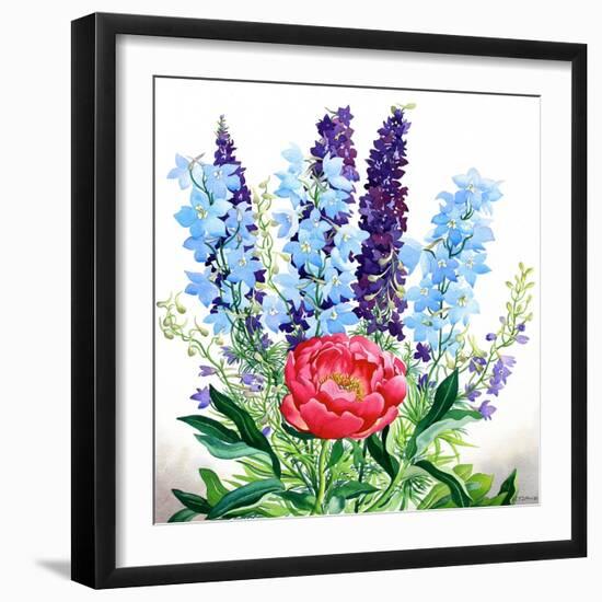 Blue Delphiniums-Christopher Ryland-Framed Giclee Print