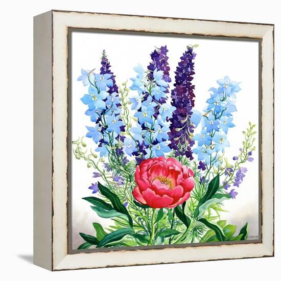 Blue Delphiniums-Christopher Ryland-Framed Premier Image Canvas