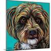 Blue Doodle Brother I-Carolee Vitaletti-Mounted Art Print