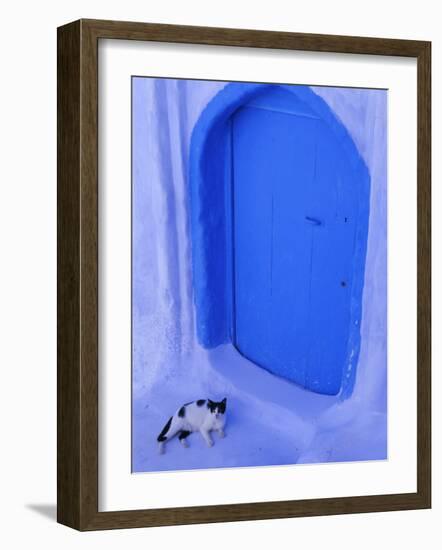 Blue Door and Cat, Chefchaouen (Chaouen) (Chechaouen), Rif Region, Morocco, North Africa, Africa-Bruno Morandi-Framed Photographic Print