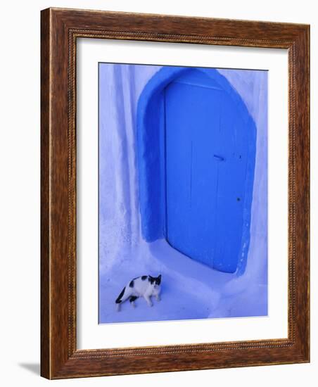 Blue Door and Cat, Chefchaouen (Chaouen) (Chechaouen), Rif Region, Morocco, North Africa, Africa-Bruno Morandi-Framed Photographic Print