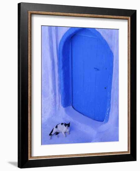 Blue Door and Cat, Chefchaouen (Chaouen) (Chechaouen), Rif Region, Morocco, North Africa, Africa-Bruno Morandi-Framed Photographic Print