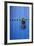 Blue Door of Kasbah of Oudaya, UNESCO World Heritage Site, Rabat, Morocco, Africa-Kymri Wilt-Framed Photographic Print