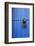 Blue Door of Kasbah of Oudaya, UNESCO World Heritage Site, Rabat, Morocco, Africa-Kymri Wilt-Framed Photographic Print