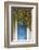 Blue Doorway with Grape Vines (Vitis) Puyloubier, Var, Provence, France, October 2012-David Noton-Framed Photographic Print