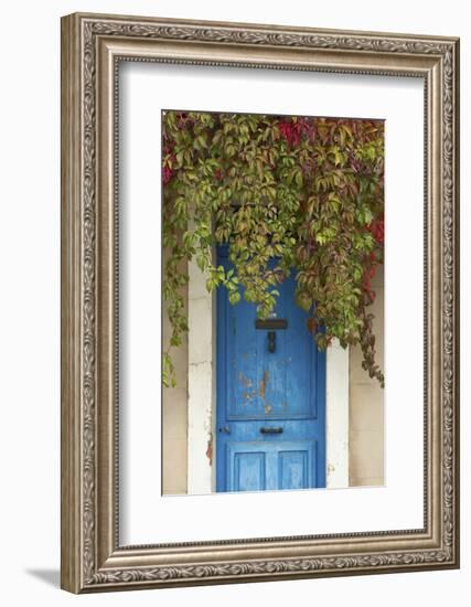 Blue Doorway with Grape Vines (Vitis) Puyloubier, Var, Provence, France, October 2012-David Noton-Framed Photographic Print