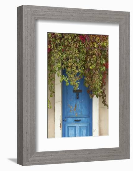 Blue Doorway with Grape Vines (Vitis) Puyloubier, Var, Provence, France, October 2012-David Noton-Framed Photographic Print