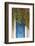 Blue Doorway with Grape Vines (Vitis) Puyloubier, Var, Provence, France, October 2012-David Noton-Framed Photographic Print