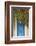 Blue Doorway with Grape Vines (Vitis) Puyloubier, Var, Provence, France, October 2012-David Noton-Framed Photographic Print