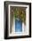 Blue Doorway with Grape Vines (Vitis) Puyloubier, Var, Provence, France, October 2012-David Noton-Framed Photographic Print