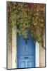 Blue Doorway with Grape Vines (Vitis) Puyloubier, Var, Provence, France, October 2012-David Noton-Mounted Photographic Print