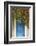 Blue Doorway with Grape Vines (Vitis) Puyloubier, Var, Provence, France, October 2012-David Noton-Framed Photographic Print