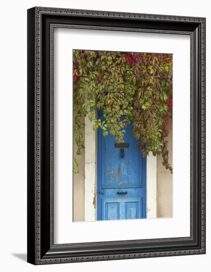 Blue Doorway with Grape Vines (Vitis) Puyloubier, Var, Provence, France, October 2012-David Noton-Framed Photographic Print