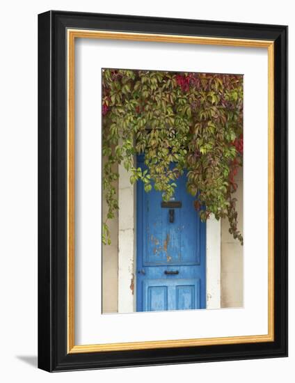 Blue Doorway with Grape Vines (Vitis) Puyloubier, Var, Provence, France, October 2012-David Noton-Framed Photographic Print