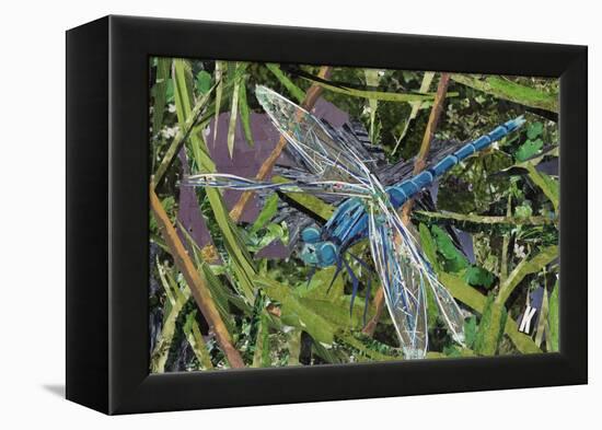 Blue Dragonfly-Kirstie Adamson-Framed Premier Image Canvas