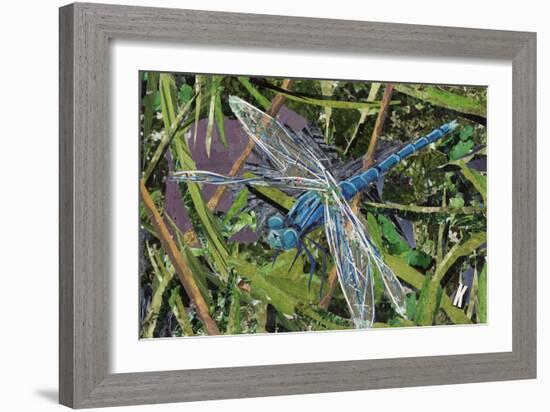 Blue Dragonfly-Kirstie Adamson-Framed Giclee Print