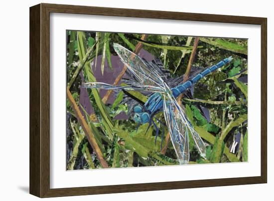 Blue Dragonfly-Kirstie Adamson-Framed Giclee Print