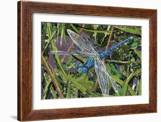 Blue Dragonfly-Kirstie Adamson-Framed Giclee Print