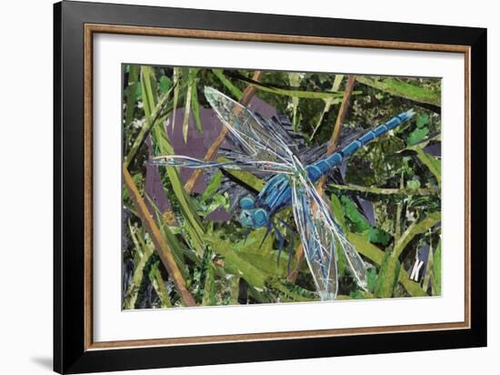 Blue Dragonfly-Kirstie Adamson-Framed Giclee Print