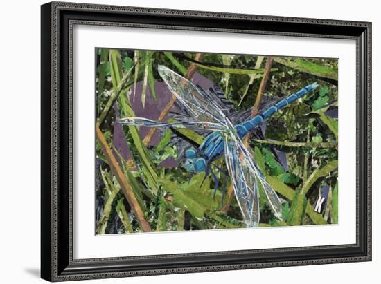 Blue Dragonfly-Kirstie Adamson-Framed Giclee Print