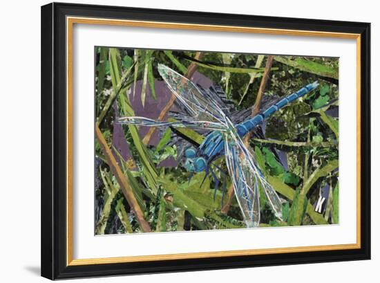 Blue Dragonfly-Kirstie Adamson-Framed Giclee Print