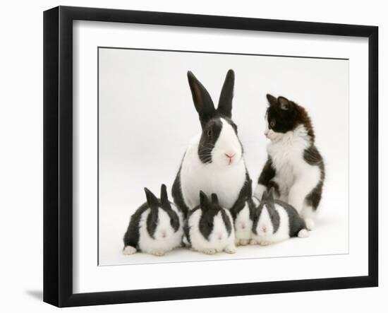 Blue Dutch Rabbit and Four 3-Week Babies and Black-And-White Kitten-Jane Burton-Framed Photographic Print