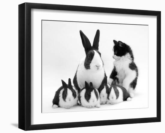 Blue Dutch Rabbit and Four 3-Week Babies and Black-And-White Kitten-Jane Burton-Framed Photographic Print