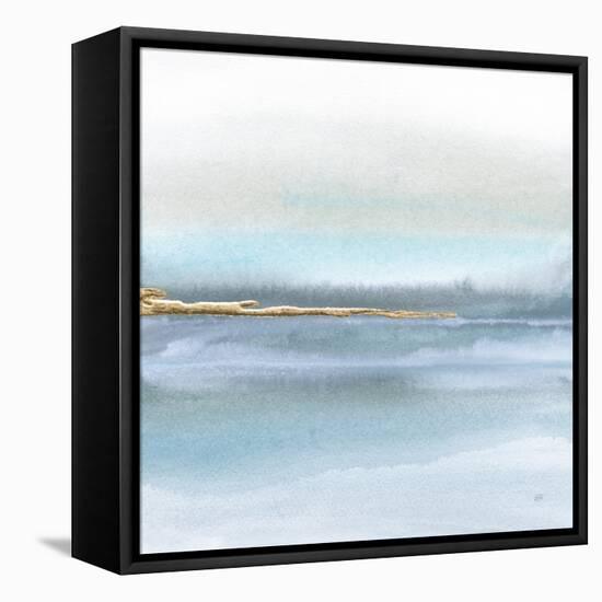 Blue Earth II-Chris Paschke-Framed Stretched Canvas