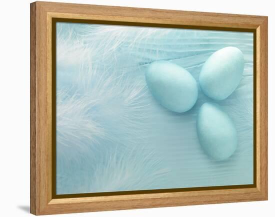 Blue Eggs and Feathers-Steve Lupton-Framed Premier Image Canvas