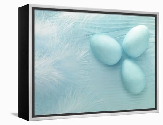 Blue Eggs and Feathers-Steve Lupton-Framed Premier Image Canvas