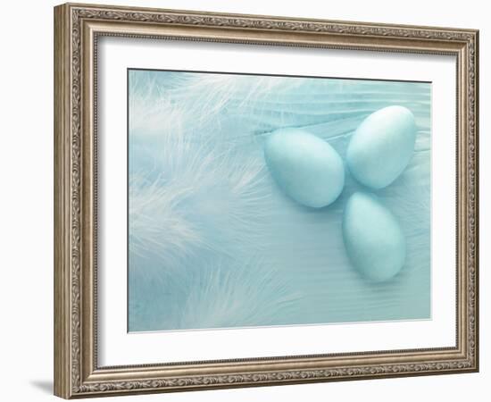 Blue Eggs and Feathers-Steve Lupton-Framed Photographic Print