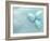 Blue Eggs and Feathers-Steve Lupton-Framed Photographic Print