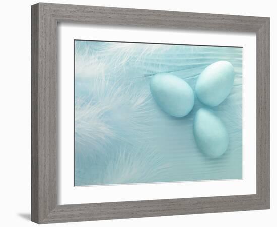 Blue Eggs and Feathers-Steve Lupton-Framed Photographic Print